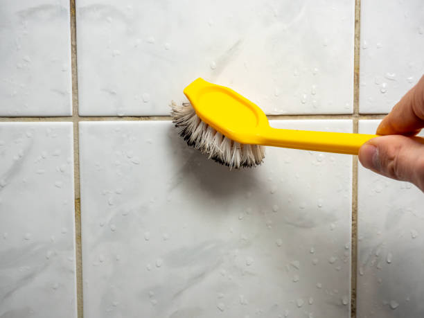 Mold Removal and Inspection in Todd Creek, CO