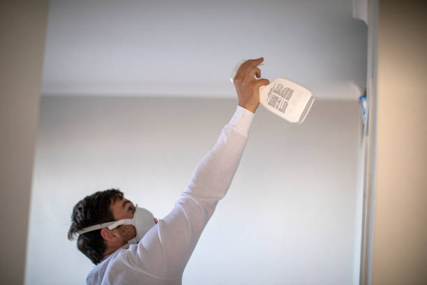 Best Black Mold Removal  in Todd Creek, CO