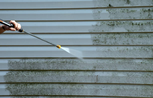 Certified Mold Removal in Todd Creek, CO